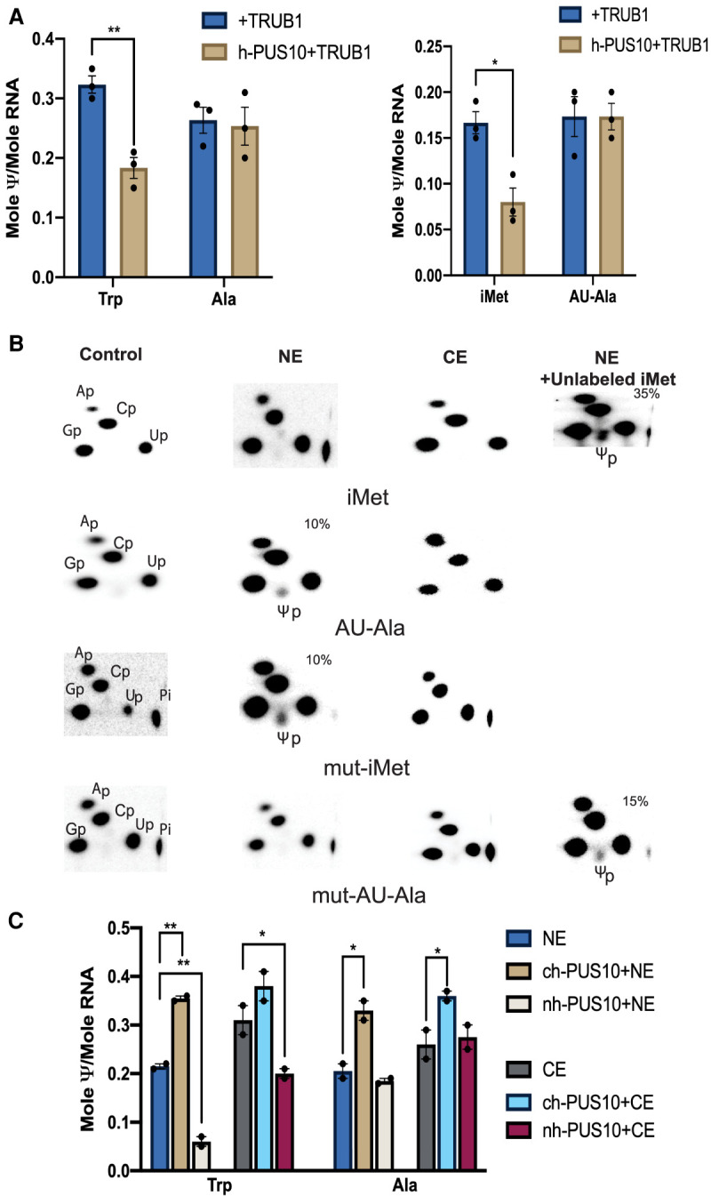 FIGURE 6.