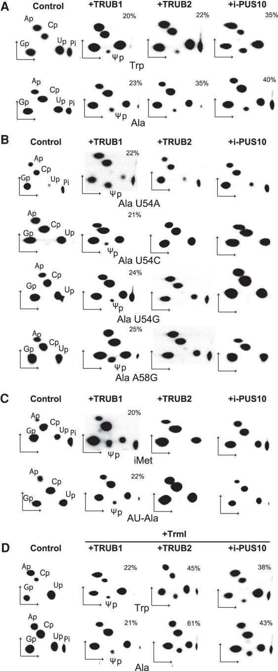 FIGURE 1.