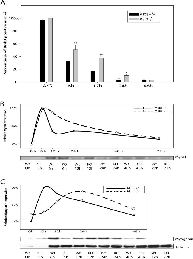 Figure 7.