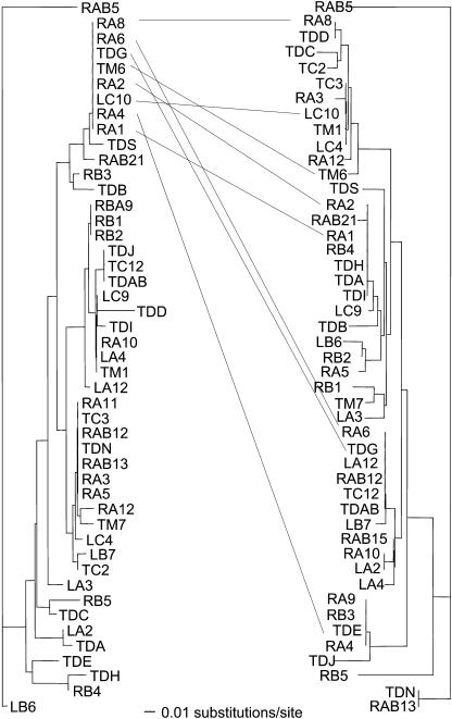 Figure 7.