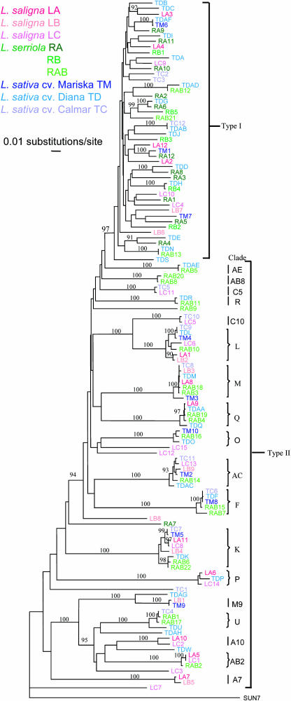 Figure 5.