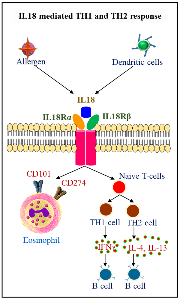 Fig.4