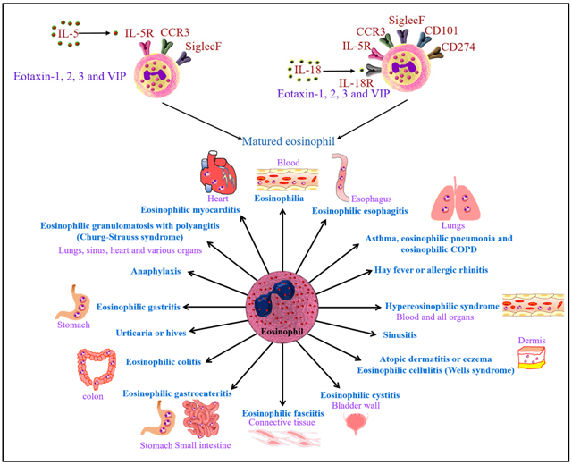 graphic file with name nihms-1530025-f0004.jpg