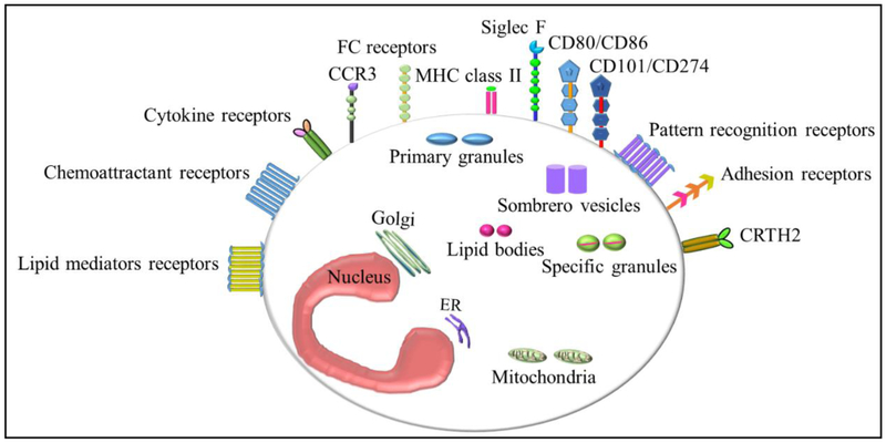 Fig.1