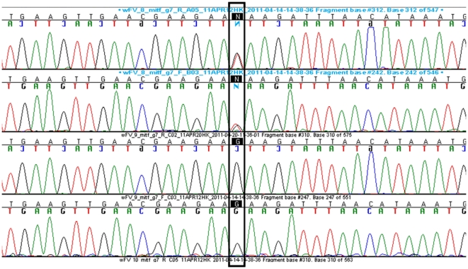 Figure 5