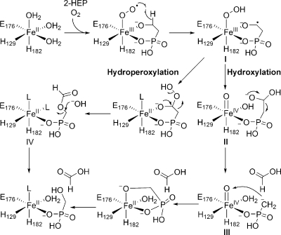 Scheme 2