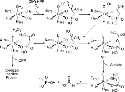 Scheme 7