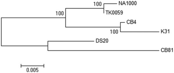 Fig. 1