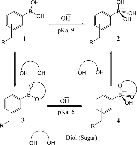 Scheme 15.1.