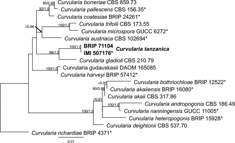 graphic file with name per-2022-46-11-i008.jpg