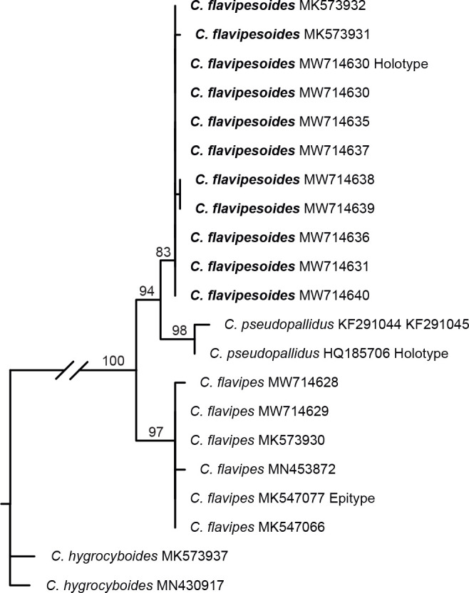 graphic file with name per-2022-46-11-i007.jpg