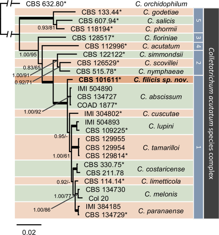 graphic file with name per-2022-46-11-i004.jpg