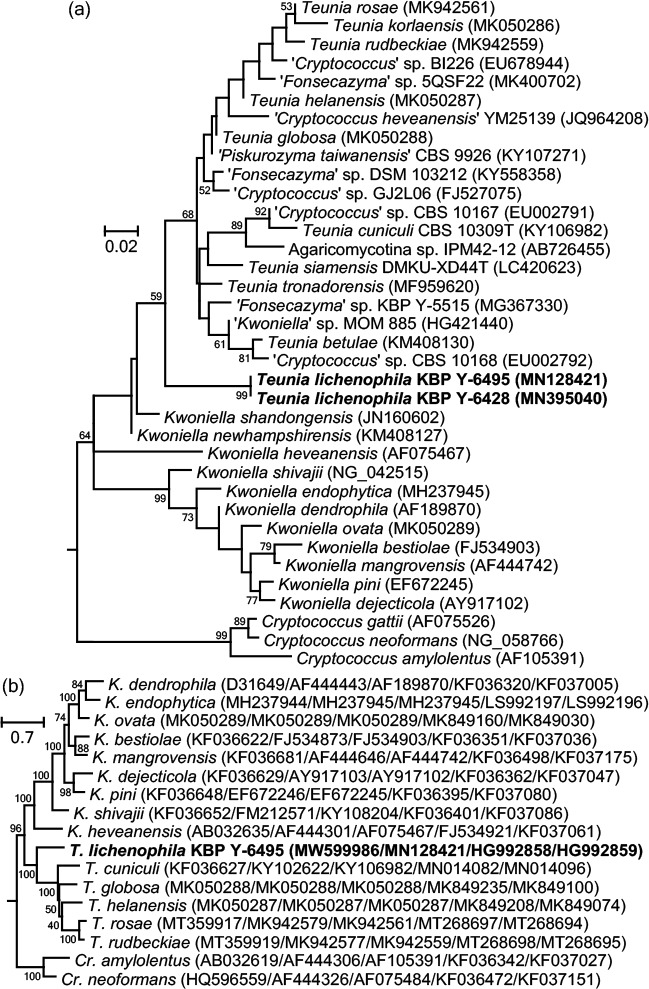 graphic file with name per-2022-46-11-i025.jpg