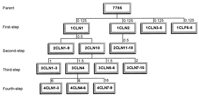 FIG. 1