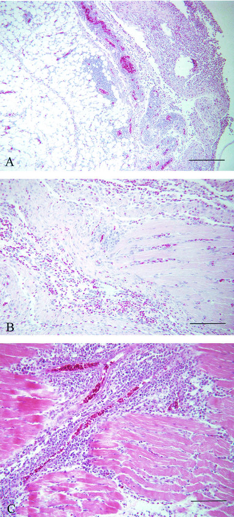 FIG. 5.