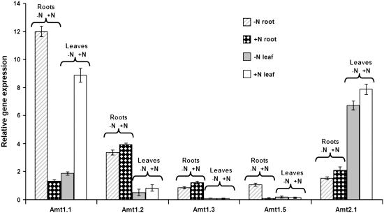 Figure 9.