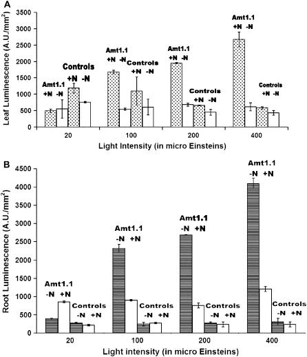 Figure 3.