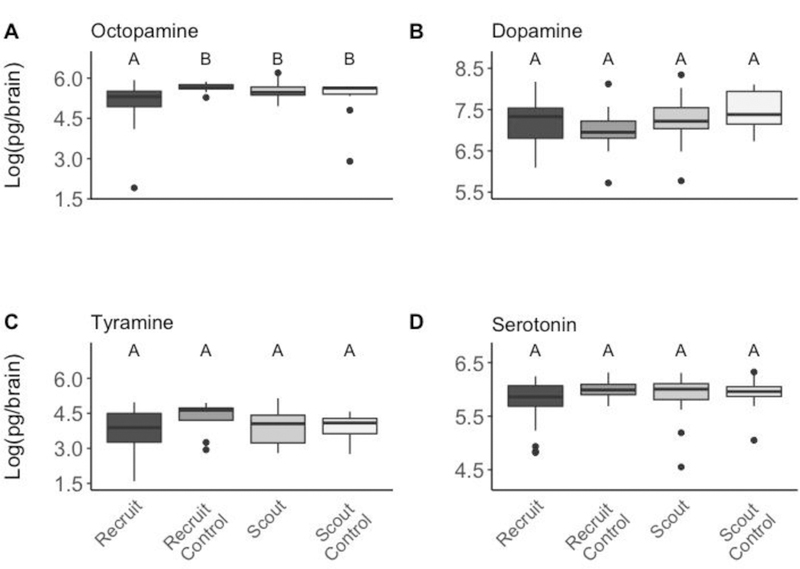 Figure 4: