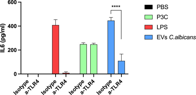 Bar graph showing IL-6 levels (pg/mL) under four conditions: PBS, P3C, LPS, and EVs C. albicans, comparing isotype and a-TLR4 treatments. Significant difference is indicated with asterisks between isotype and a-TLR4 for EVs C. albicans.