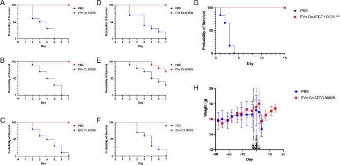 Line graphs show the probability of survival over 7 days for PBS and EVs Ca 90028 treatments, with multiple replicates showing similar trends. The graphs compare the weight changes over time between the two treatments.