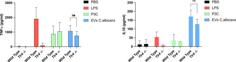 Bar graphs show TNFα and IL-10 levels (pg/mL) in wild type and Tlr4-/- samples under four conditions: PBS, LPS, P3C, and EVs C. albicans. Significant differences are indicated with ns for non-significant.