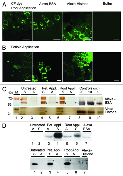 Figure 2.