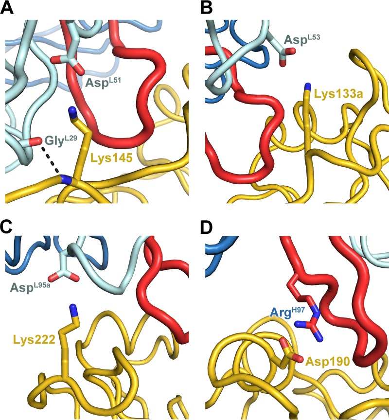 Fig 6