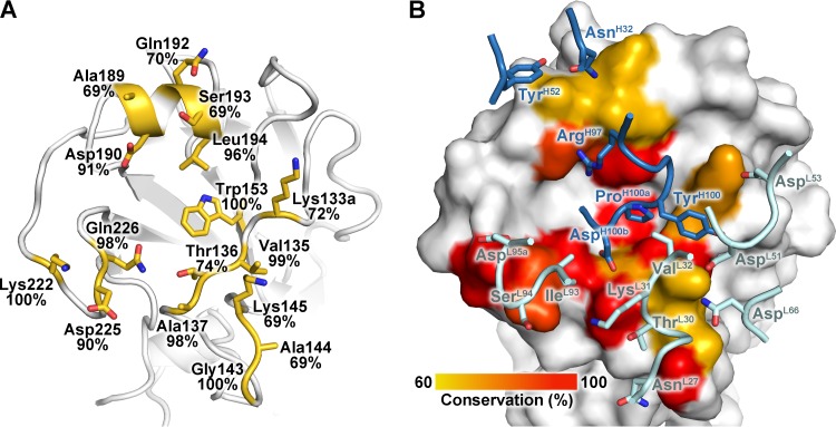 Fig 4