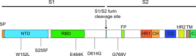 FIG 2