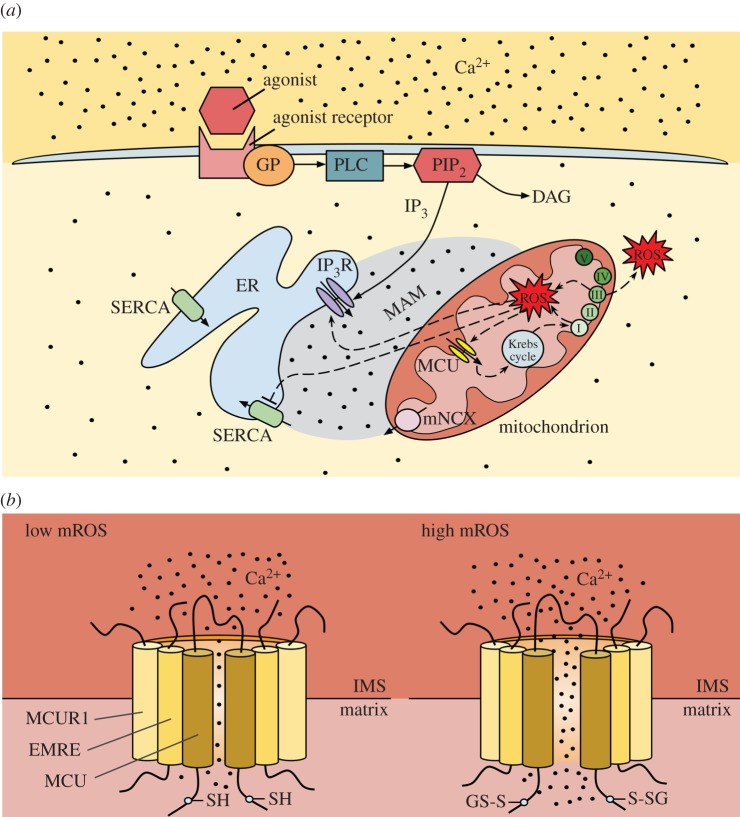 Figure 2.