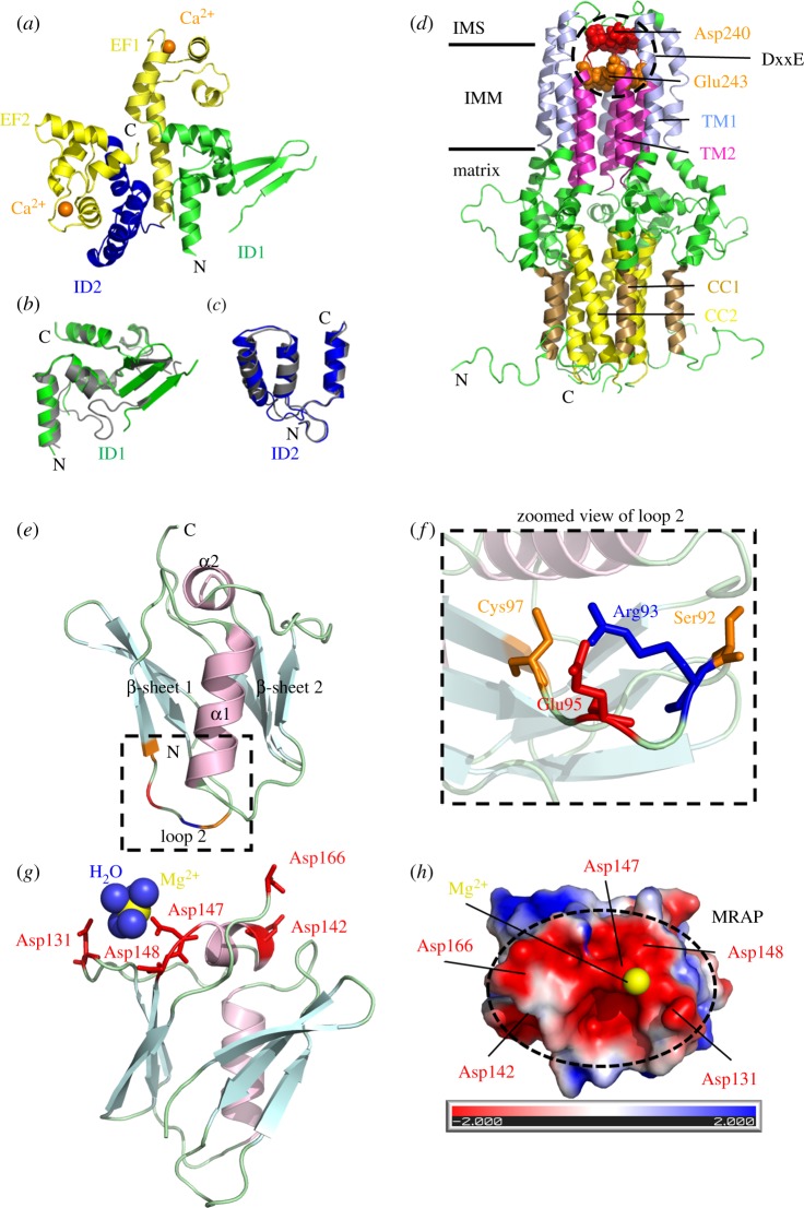 Figure 1.