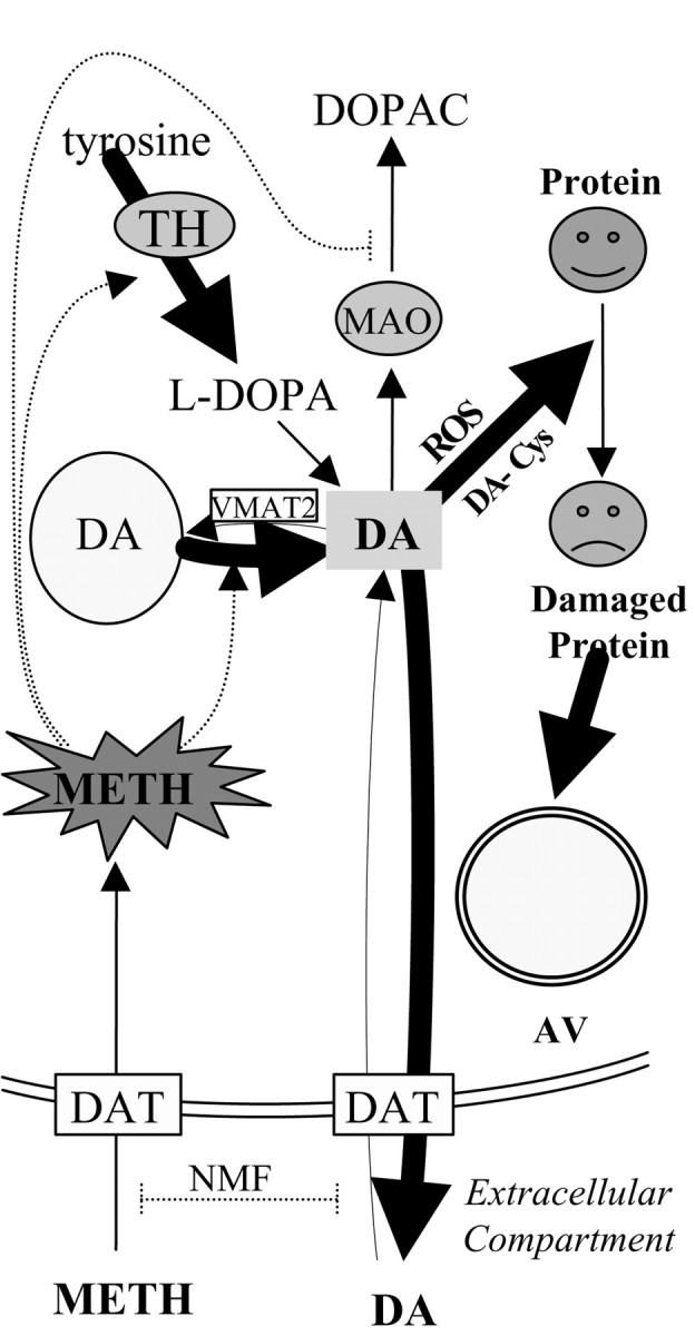 Fig. 11.