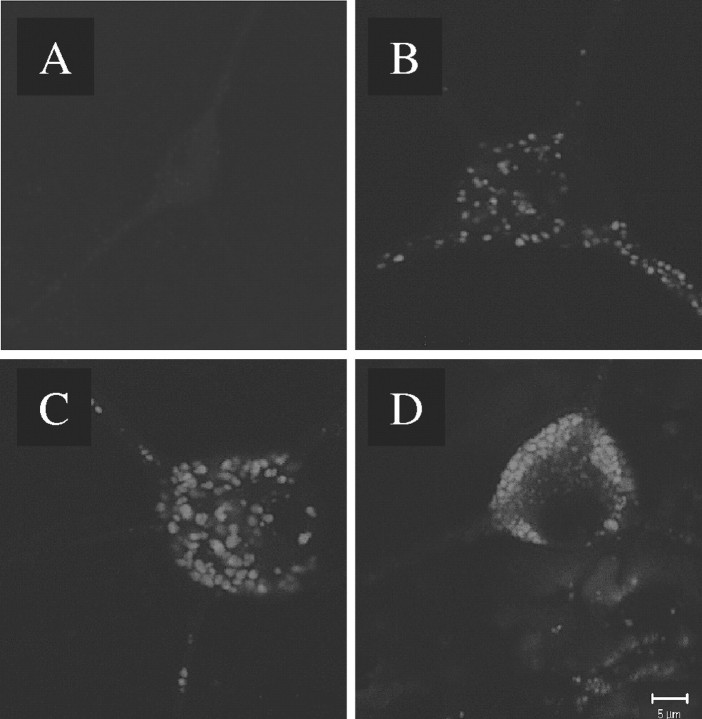 Fig. 10.