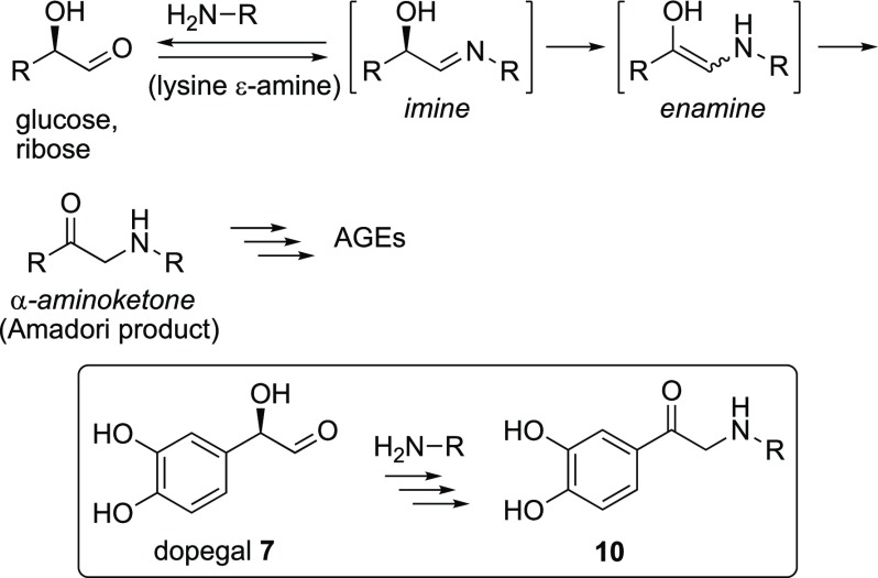 Scheme 2