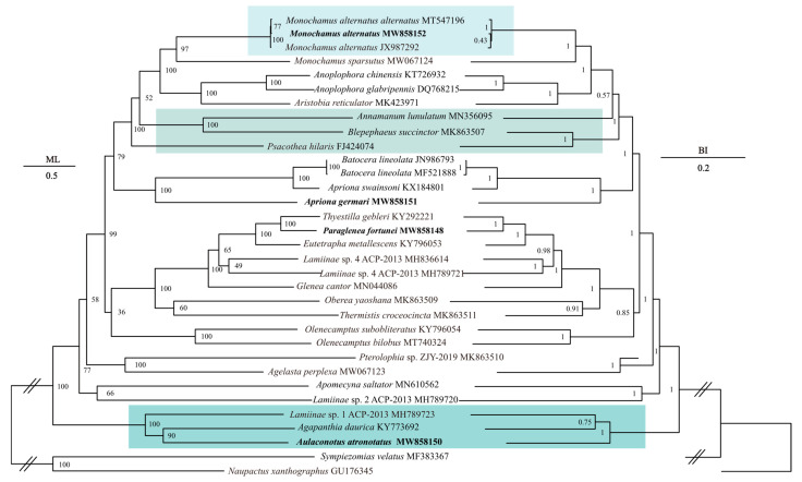 Figure 3