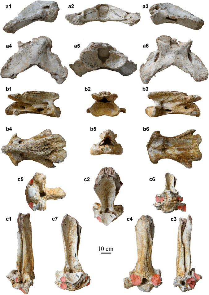 Fig. 2