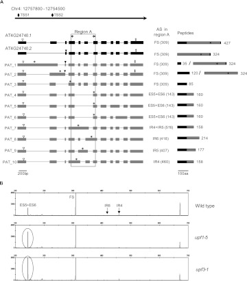 Figure 6.