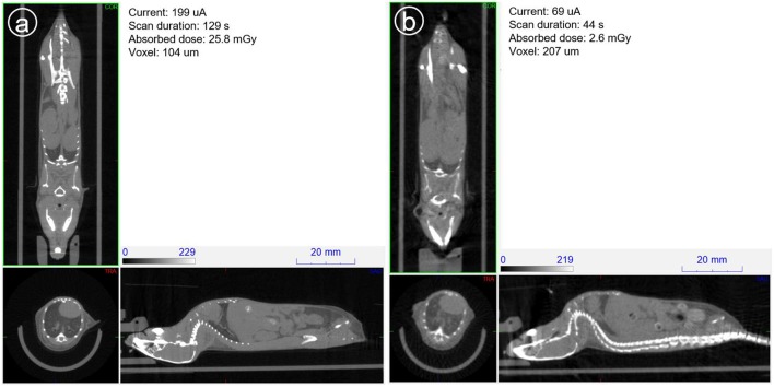 Figure 13