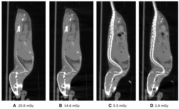 Figure 12