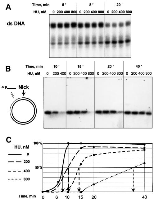 graphic file with name cdd643f5.jpg