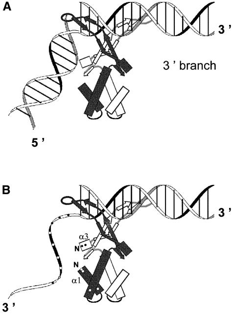 graphic file with name cdd643f3.jpg