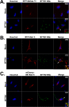 FIG 8