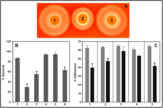 Fig 9