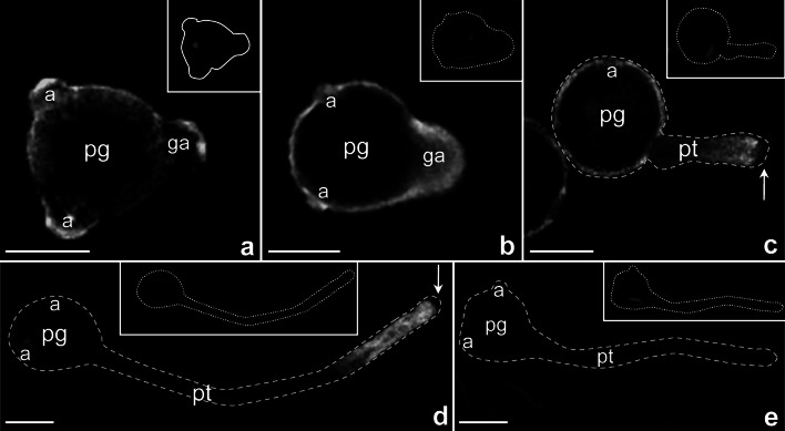 Fig. 4