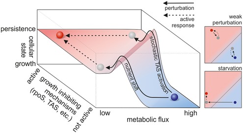 Figure 8