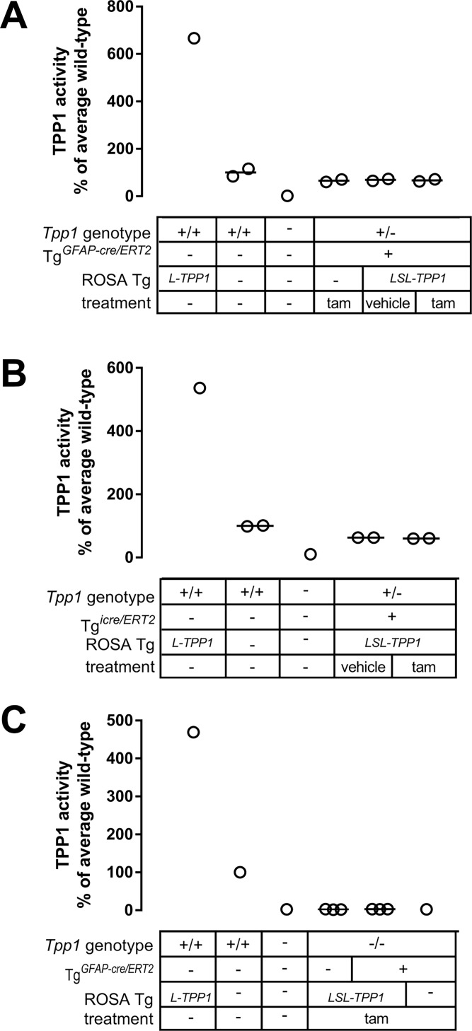 Fig 7