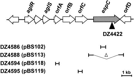 FIG. 1.