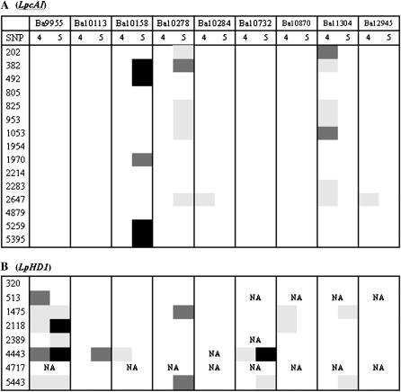 Figure 4.—