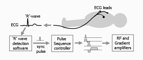 Figure 21