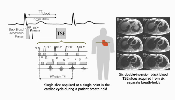 Figure 24